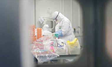 ABD, olası küresel salgın hastalıkları önlemek için 50 ülkeyle işbirliği yapacak