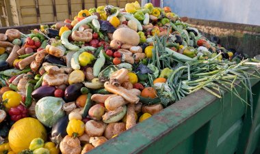 Dünyada israf edilen gıdalar, yetersiz beslenen insanların 2 katından fazlasına yetiyor