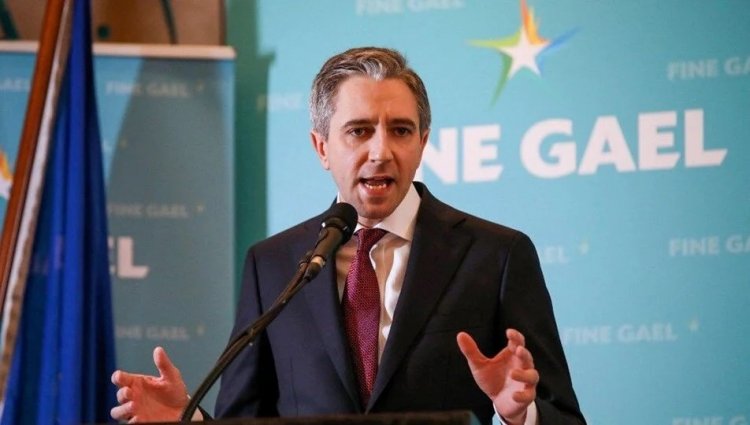 İrlanda Başbakan Yardımcısı Harris: Gazze'de mevcut acının devam etmesi vicdansızlıktır
