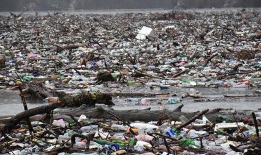 Plastik kirliliğine en çok sebep olan markalar Coca Cola ve PepsiCo