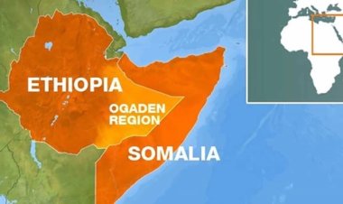 Somali ve Etiyopya arasında gerginlik tırmanıyor! Asla müttefikimiz olmayacak!