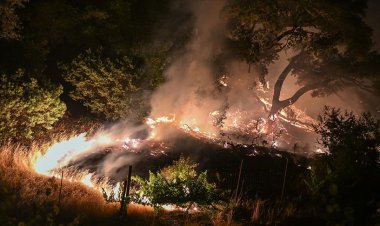 Los Angeles'ta çıkan orman yangınında 1200 kişi tahliye edildi