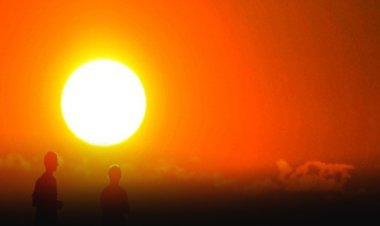 Meksika'da aşırı sıcaklardan ölenlerin sayısı 155'e yükseldi