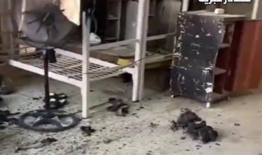 Hizbullah'ın insansız hava aracı İşgalci İsrail'in askeri üssünü vurdu