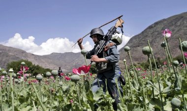 Afganistan İslam Emirliği, uyuşturucuyla mücadelesini sürdürüyor