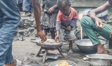 Dünyada 733 milyon insan açlık çekiyor