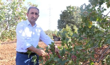 HÜDA PAR Milletvekili Demir: Fıstık üretimindeki mağduriyetler giderilmelidir