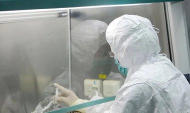 Afrika'da M çiçeği salgınına karşı aşılamalara başlanacağı duyuruldu