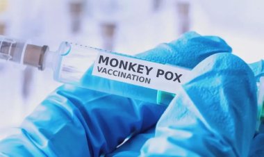 Avrupa'da Maymun çiçeği virüsü uyarısı