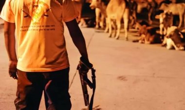 Hintli Müslümanlara karşı “İnek Muhafızları” çetesinin saldırıları arttı