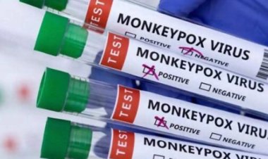 Pakistan'da maymun çiçeği vaka sayısı artarken, Fas'ta ilk vaka tespit edildi