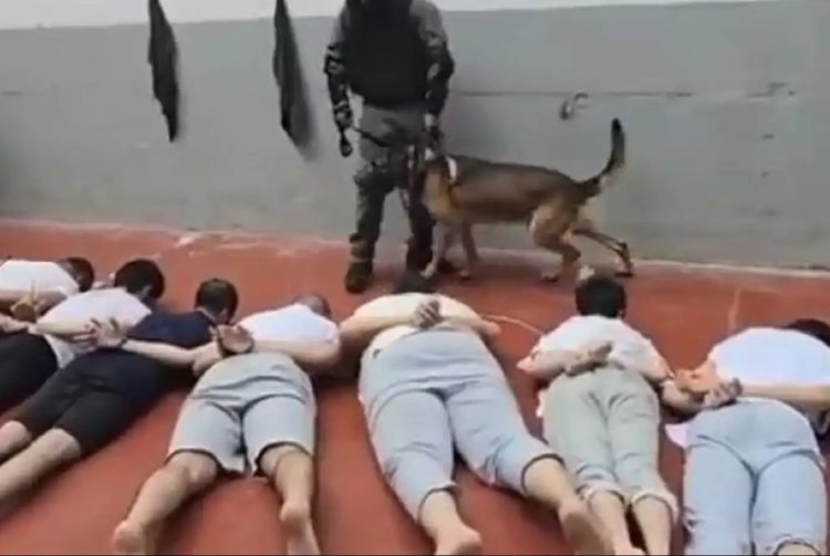 İşgalci İsrail’in zindanlarında 63 Filistinli katledildi!