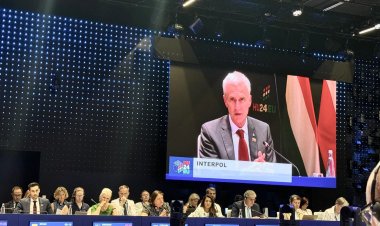 Interpol: Ülkeler mafyaya karşı kaybediyor