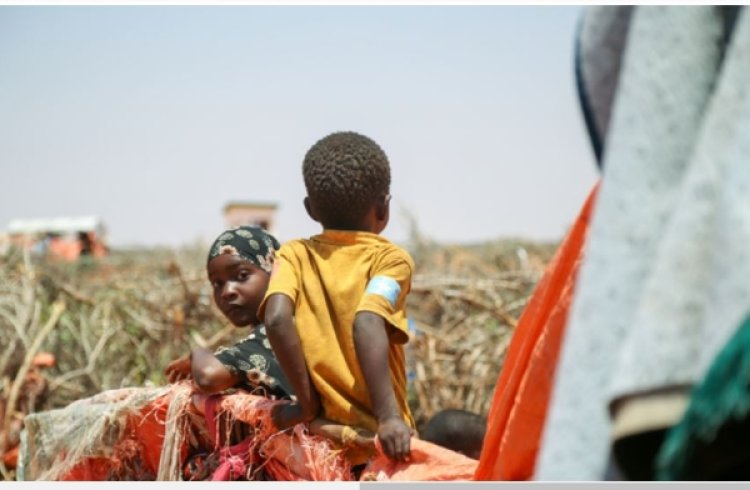 Güney Afrika'da yaklaşık 40 milyon kişi gıda güvensizliğiyle karşı karşıya