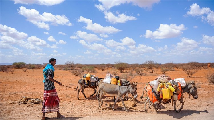 Afrika'nın güneyinde kuraklıktan 15 milyon kişi acil gıda yardımına muhtaç