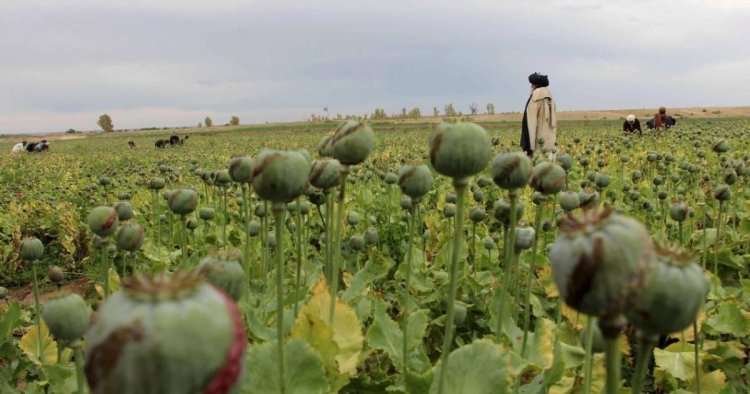 Afganistan'da uyuşturucu laboratuvarları imha edildi