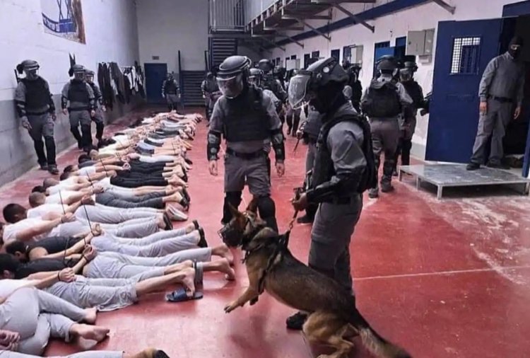 'Binlerce esir başka türden bir soykırımla karşı karşıya'