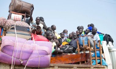 BM: Güney Sudan'daki şiddet 50 bin kişiyi yerinden etti