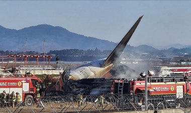Güney Kore'de 179 kişinin öldüğü uçağın son 48 saatte 13 sefer yaptığı belirlendi