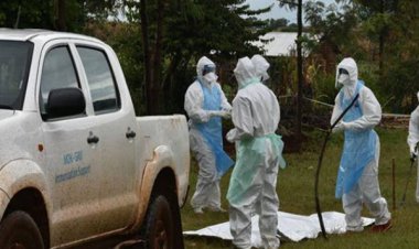 Tanzanya'da Marburg hastalığından 8 kişi öldü