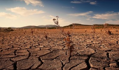 Afrikalı liderlerden iklim değişikliğine karşı dayanışma çağrısı