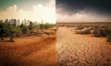 AB Komisyonu, iklim krizine karşı mücadele politikalarından vazgeçmeyecek