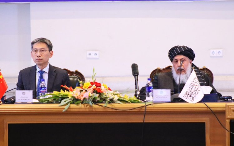 Stanikzai: Hiçbir ülkenin İslam Emirliği’nin iç işlerine müdahale etmesine asla izin vermeyeceğiz