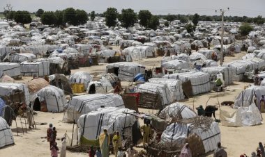 BM: Küresel yardım fonu kesintileri mülteciler için şiddet, tehlike ve ölüm risklerini artırdı