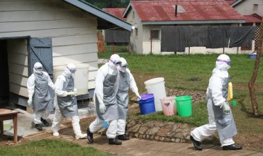 Nijerya'da Ebola salgını alarmı