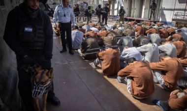 Herzog, Delillere Rağmen İnkâr Etti