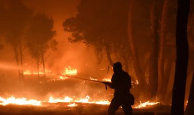 Japonya'da orman yangını