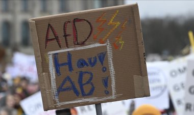 Alman uzman: AfD’nin oy artışından yerleşik partiler sorumlu