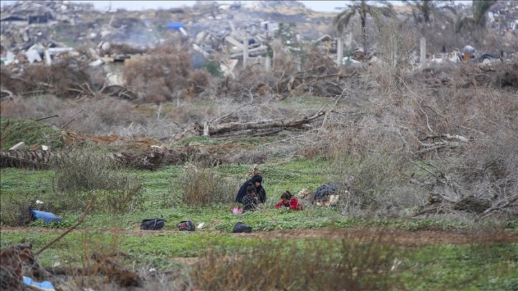 Refah Belediyesi: Ateşkes yok, 200 bin sığınmacı açıkta