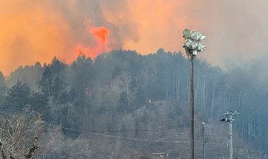 Japonya'daki orman yangınında 2 bin 100 hektarlık alan yandı