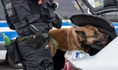 Almanya'da şiddet suçlarında artış