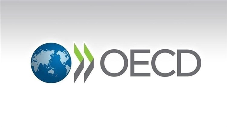 OECD: Küresel okyanus ekonomisinde sürdürülebilir büyümeyi yavaşlatan aksaklıklar meydana gelebilir