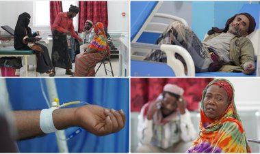 Dünya genelinde sıtma nedeniyle her yıl yüz binlerce kişi hayatını kaybediyor