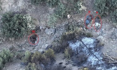 Pakistan Talibanı ve ordu güçleri çatıştı: 54 ölü