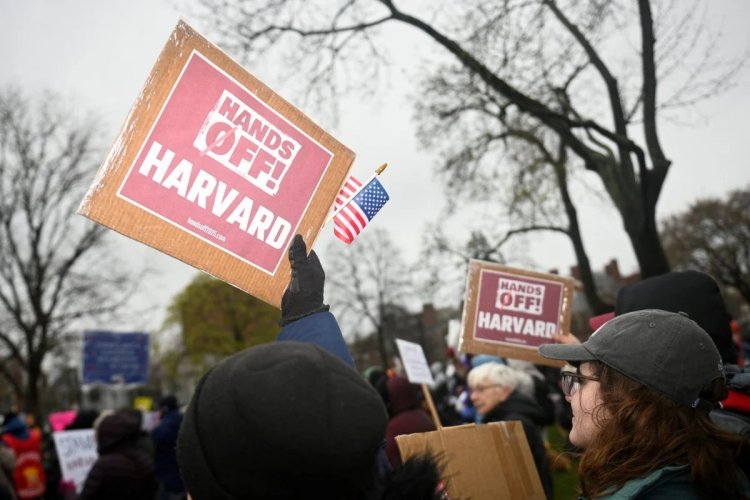 Harvard profesörlerinden Trump yönetimine dava: Filistin yanlısı kampüslere baskıya tepki