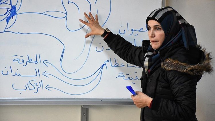 Suriye'de devrik Esed rejiminin işinden ettiği 14 bin 646 öğretmen görevine iade edildi