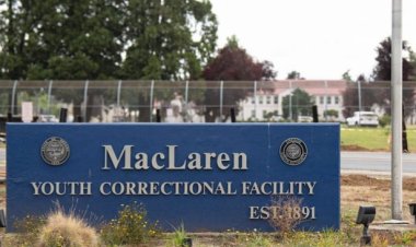 ABD'de '7 bine yakın çocuğa cinsel istismar' davası tazminat ile bitiriliyor