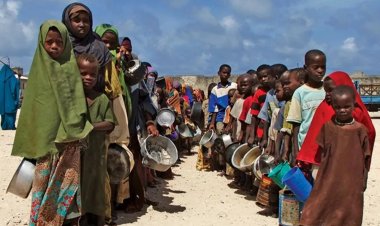 Afrika'daki 36 milyondan fazla kişi temel gıda ihtiyaçlarını karşılamakta zorlanıyor