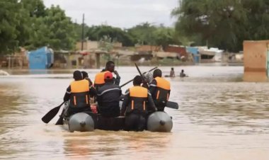 Nijerya'da yağışlar sele yol açtı: 117 ölü