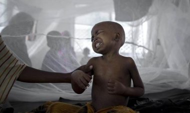 Nijerya'da bu yıl menenjit ve Lassa ateşi salgınlarından 366 kişi öldü