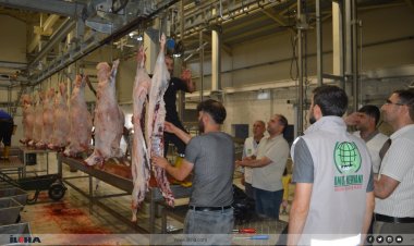 Umut Kervanı ve Yetimler Vakfı, Kurban Bayramı’nda yüzleri güldürdü