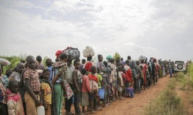 BM raporu: Zorla yerinden edilenlerin sayısı 122 milyonu aştı, en büyük kriz Sudan'da