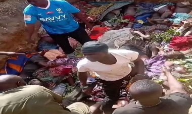 Nijerya'nın Benue eyaletinde düzenlenen silahlı saldırılarda 200 kişi öldü