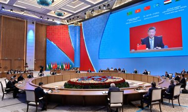 Çin Devlet Başkanı Şi: "İnsanlık orman kanununa dönmemeli"