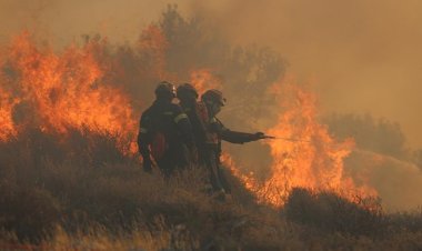 Dünyada sıcaklık artıyor ABD ve Avrupa'da orman yangınları etkili oluyor
