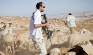 Yahudi çeteler Filistinlilerin arazilerine saldırdı